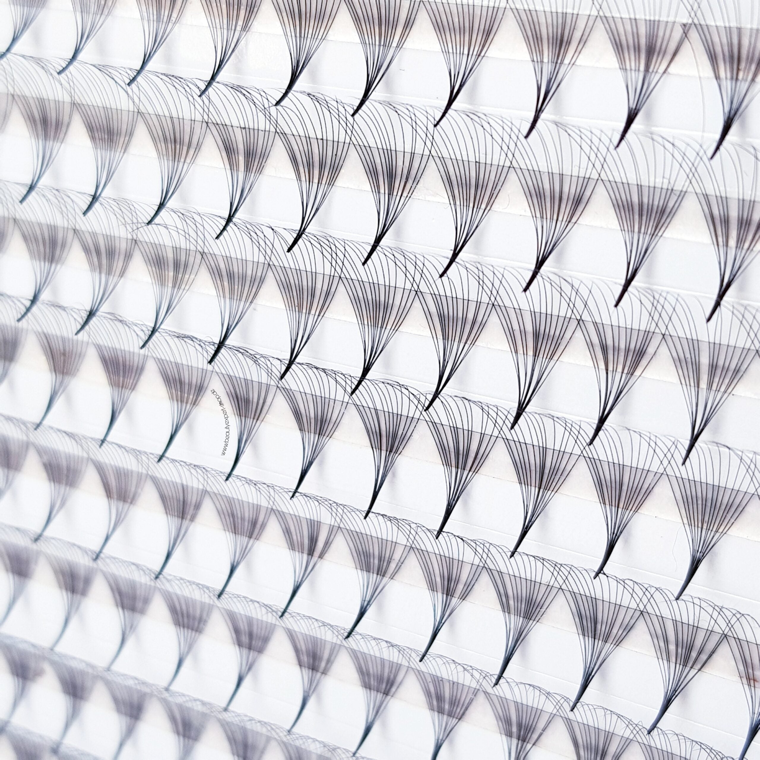 14D♡︎0.03 - Wide Fans - Promade Volumenfächer(Vorgänge)