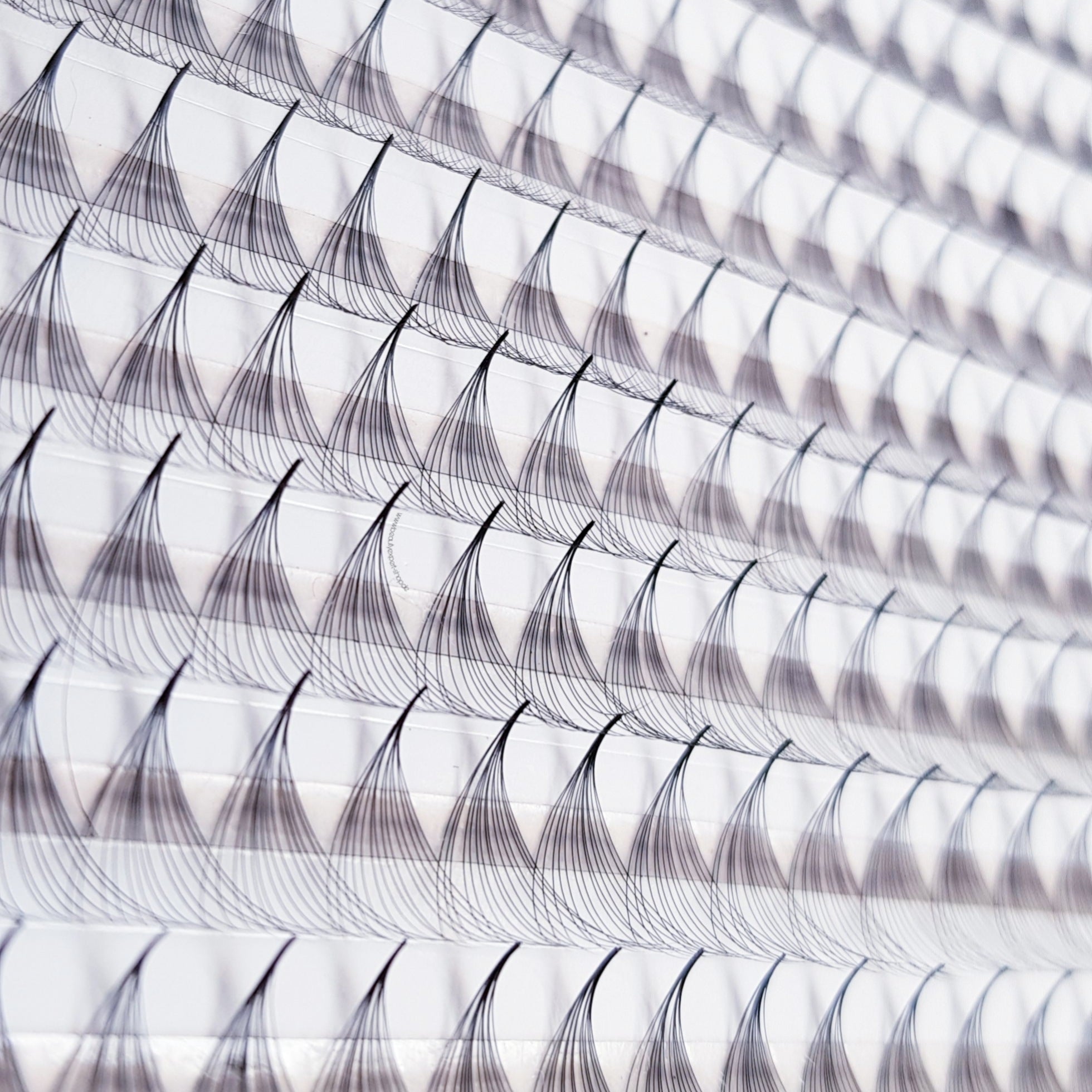 14D♡︎0.03 - Wide Fans - Promade Volumenfächer(Vorgänge)