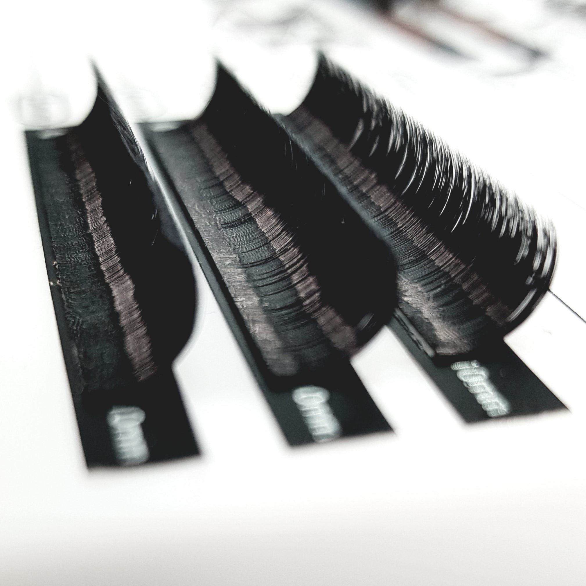 Easy Fan Lashes D Curl (Vorgänge)