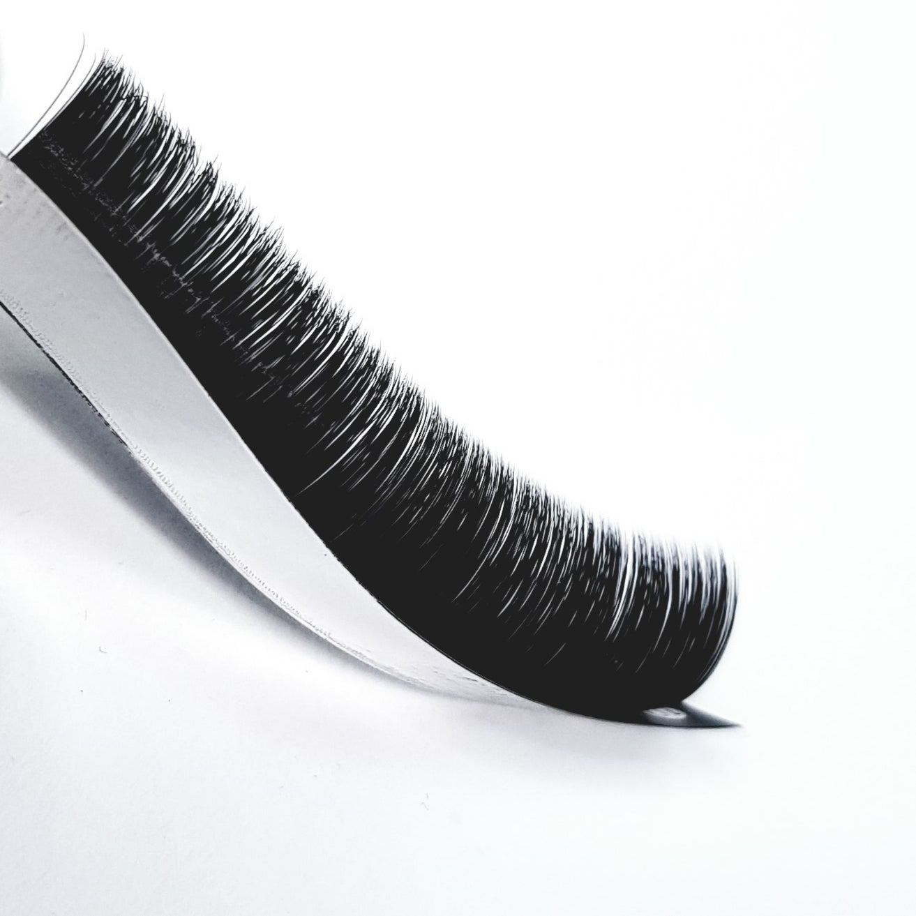 Easy Fan Lashes D Curl (Vorgänge)