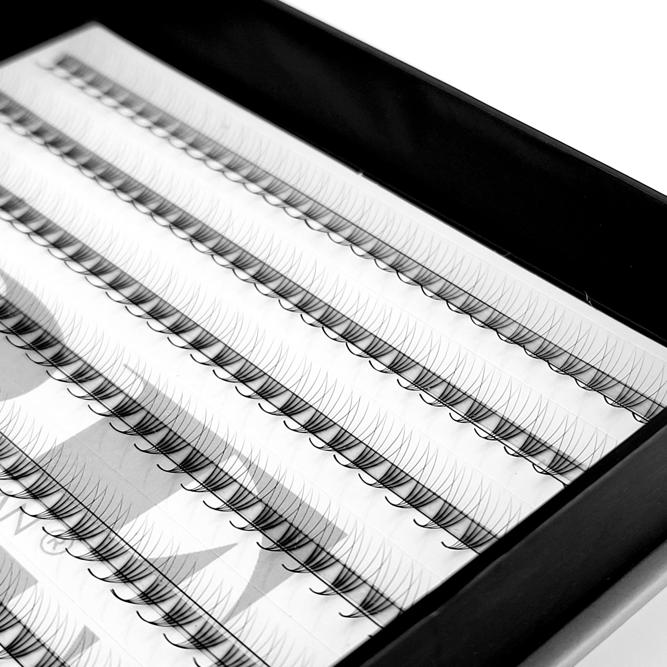 5D♡︎0.07 - Wide Fans - Promade Volumenfächer
