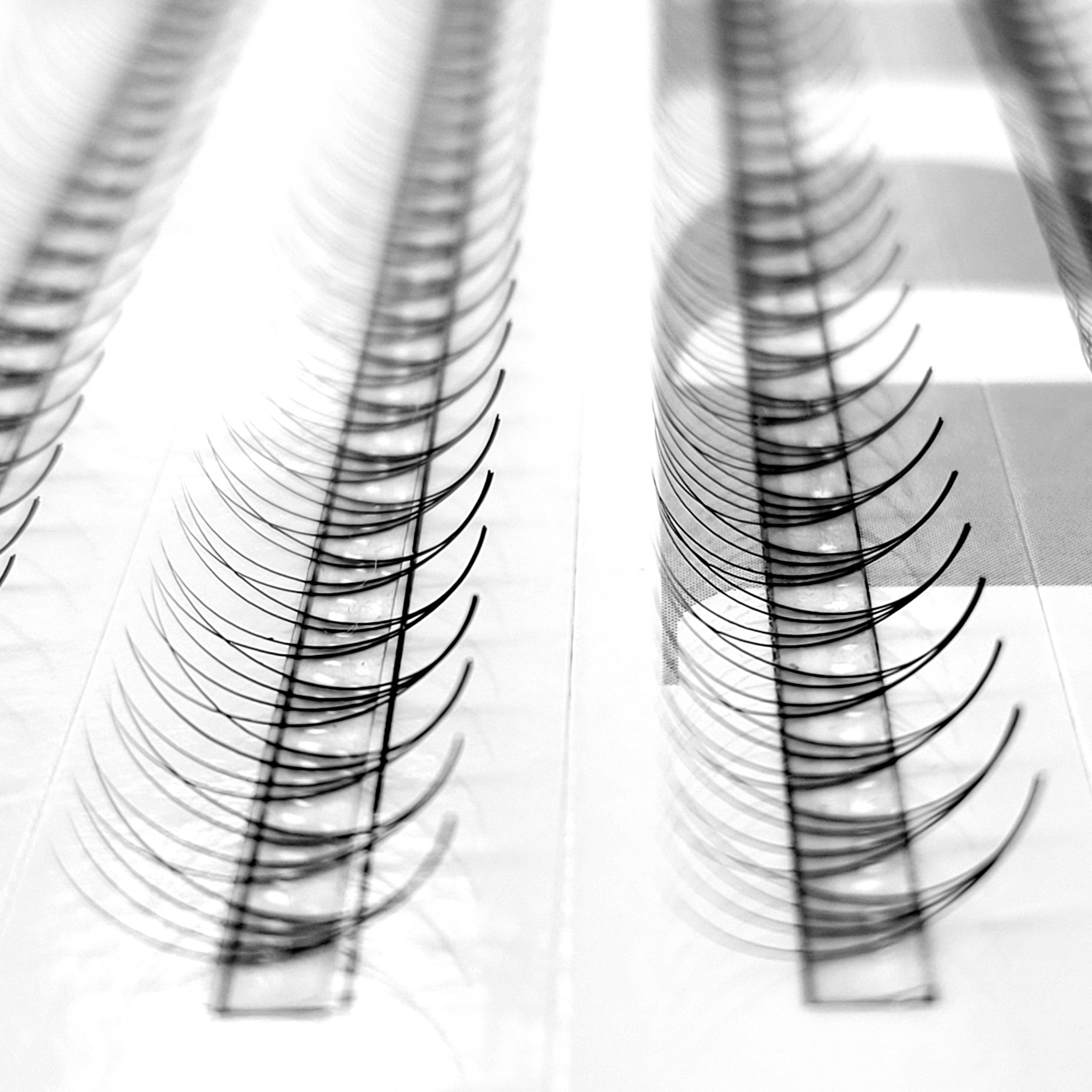 4D♡︎0.07 - Wide Fans - Promade Volumenfächer