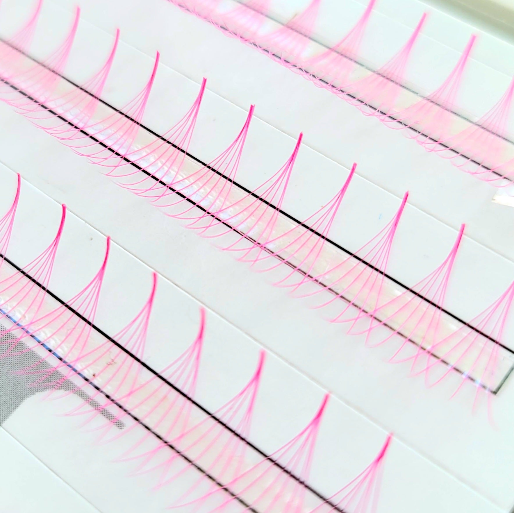 6D | 0.07 PINK WIMPERNFÄCHER - MIX