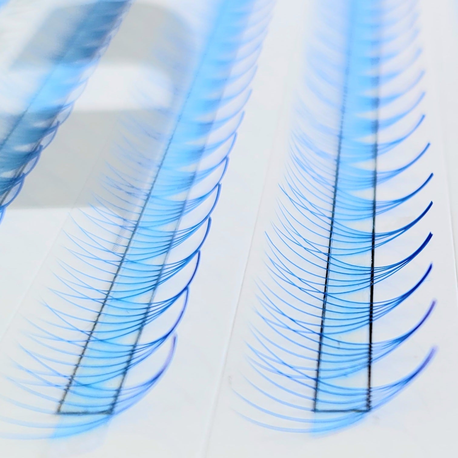 6D | 0.07 Blue Fan Lashes - Mix