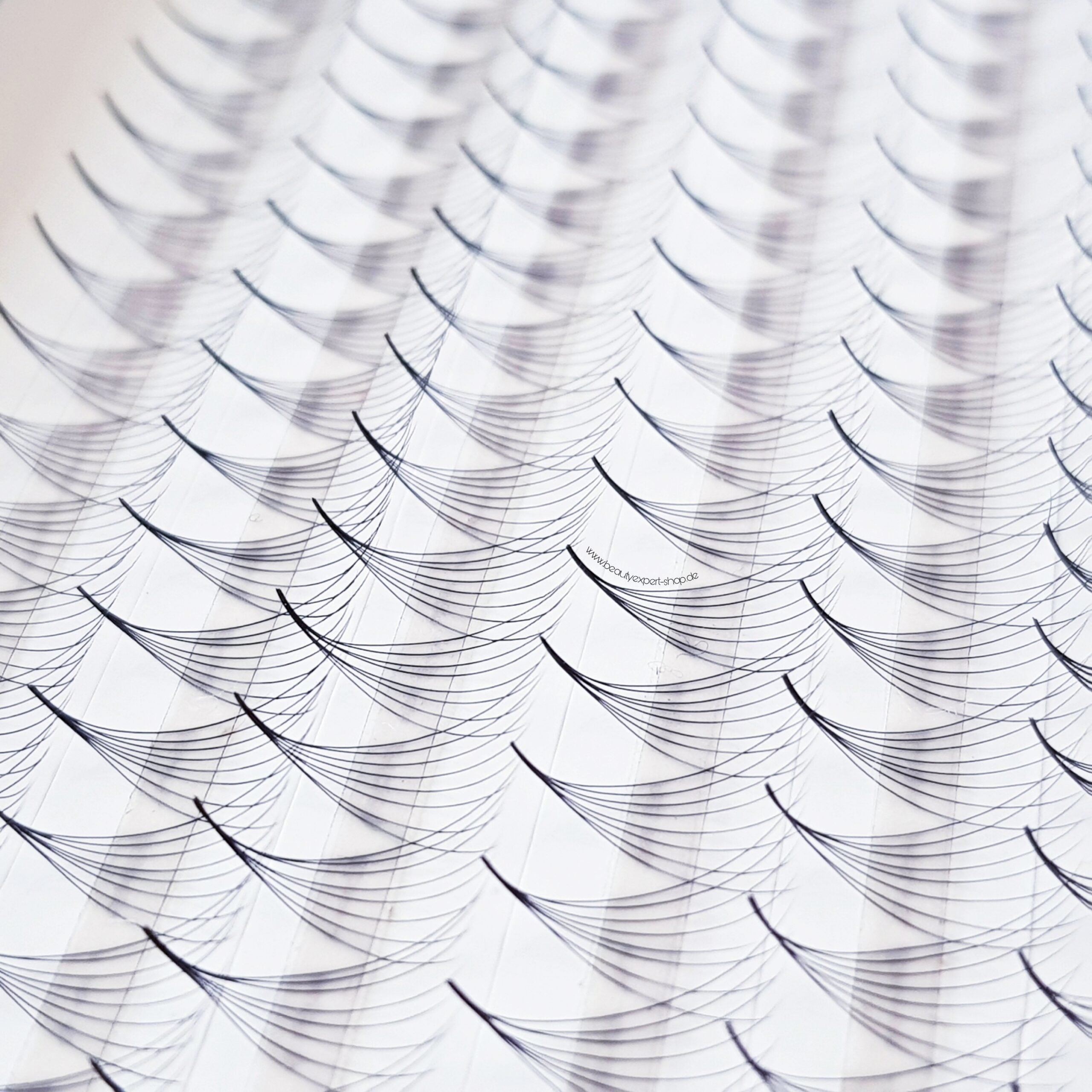 8D♡︎0.05 - Wide Fans - Promade Volumenfächer(Vorgänge)