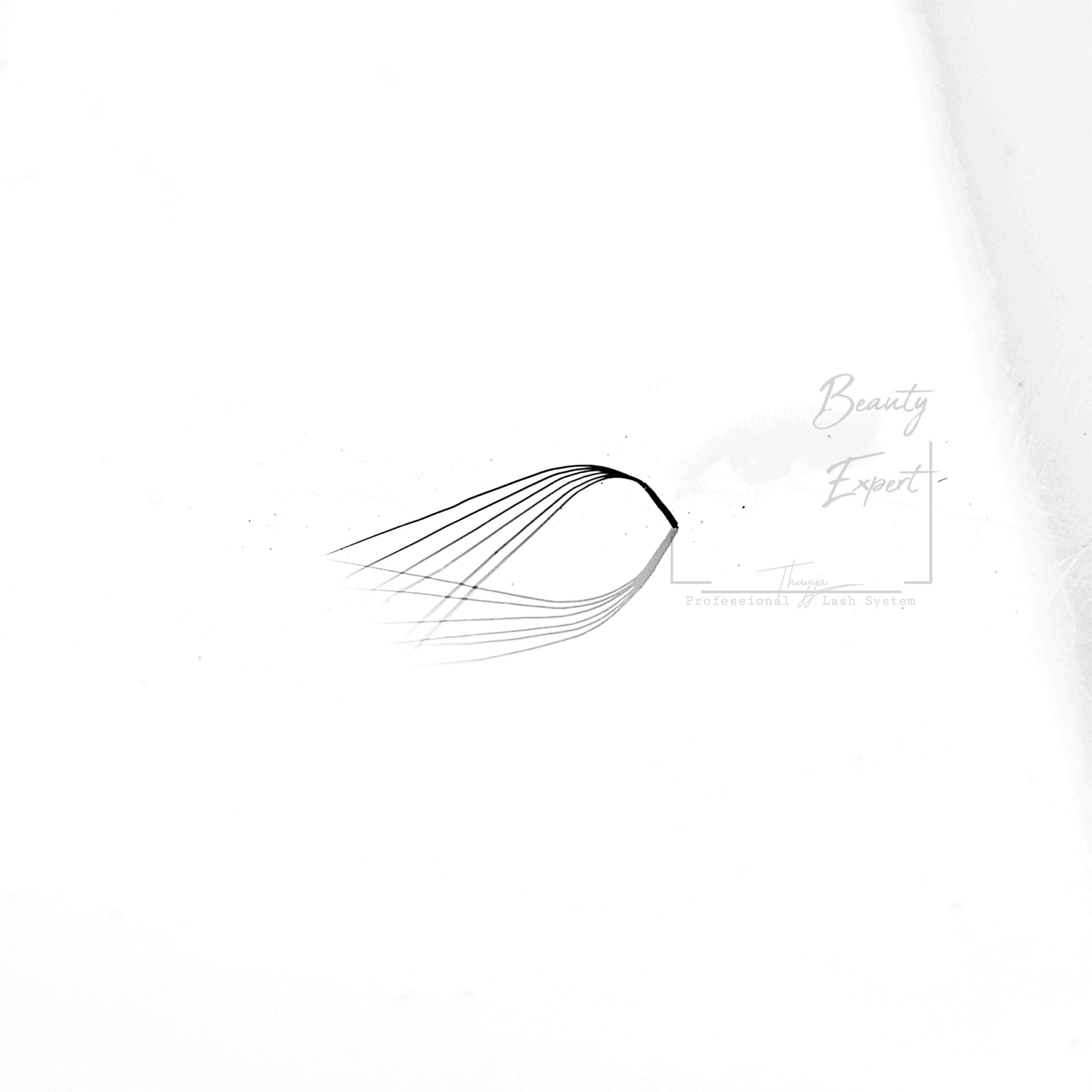 Handmade Wimpernfächer 5D | 0.07 | M