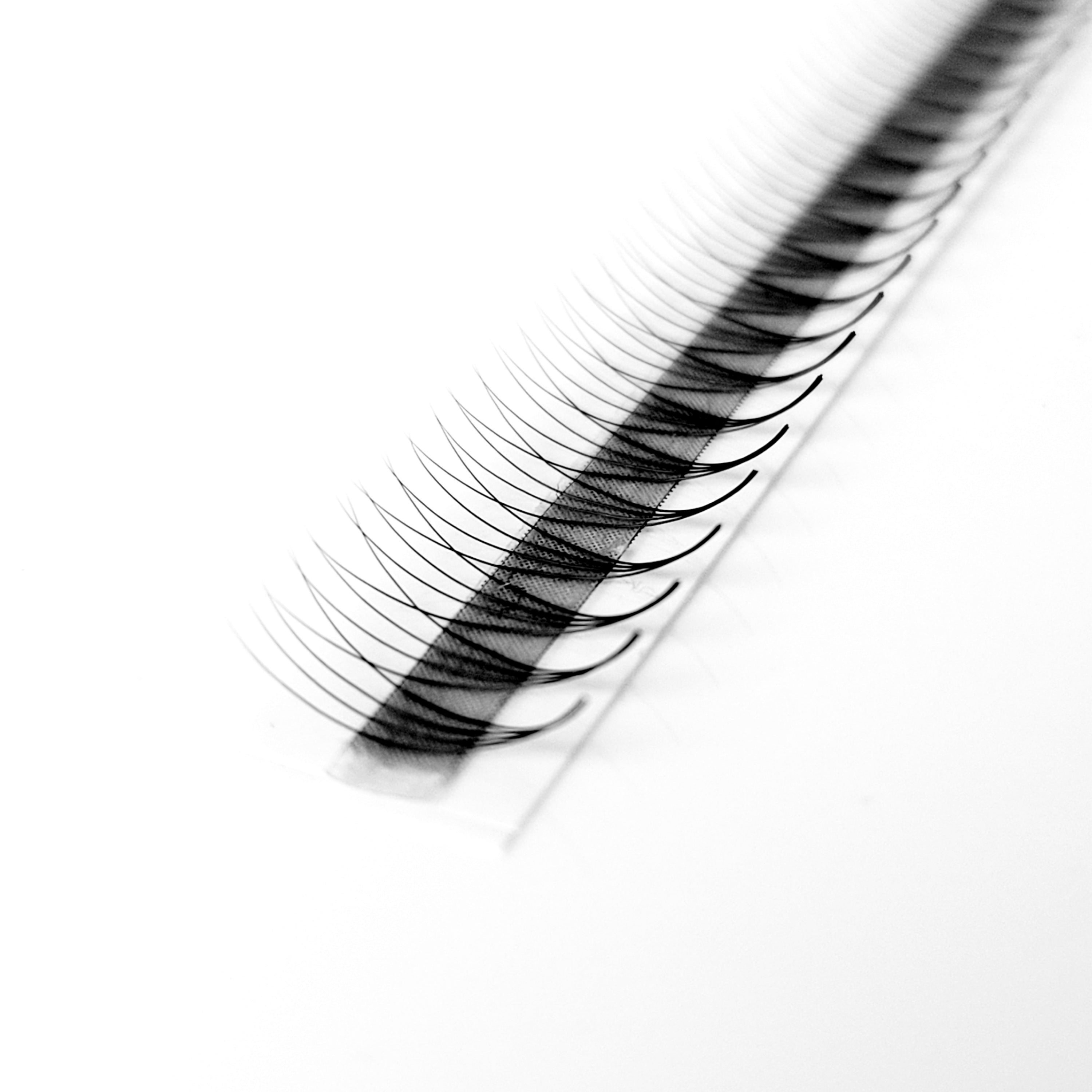4D♡︎0.07 - Narrow Fans - Promade Volumenfächer