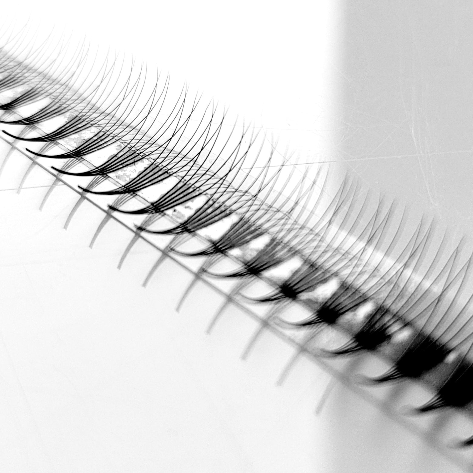 5D♡︎0.07 - Narrow Fans - Promade Volumenfächer