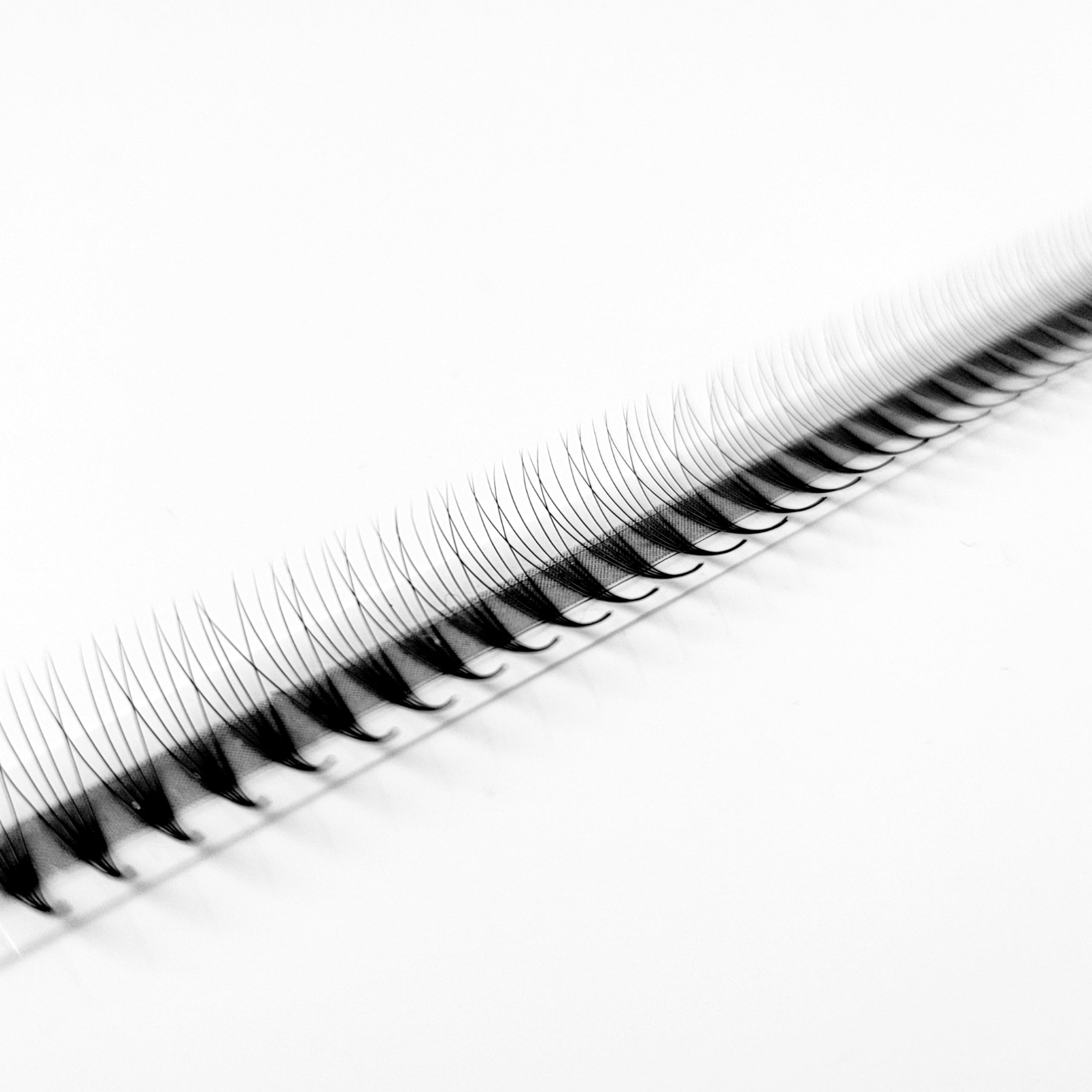5D♡︎0.07 - Narrow Fans - Promade Volumenfächer
