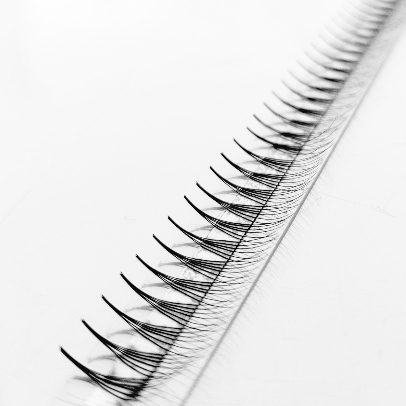 6D♡︎0.07 - Narrow Fans - Promade Volumenfächer