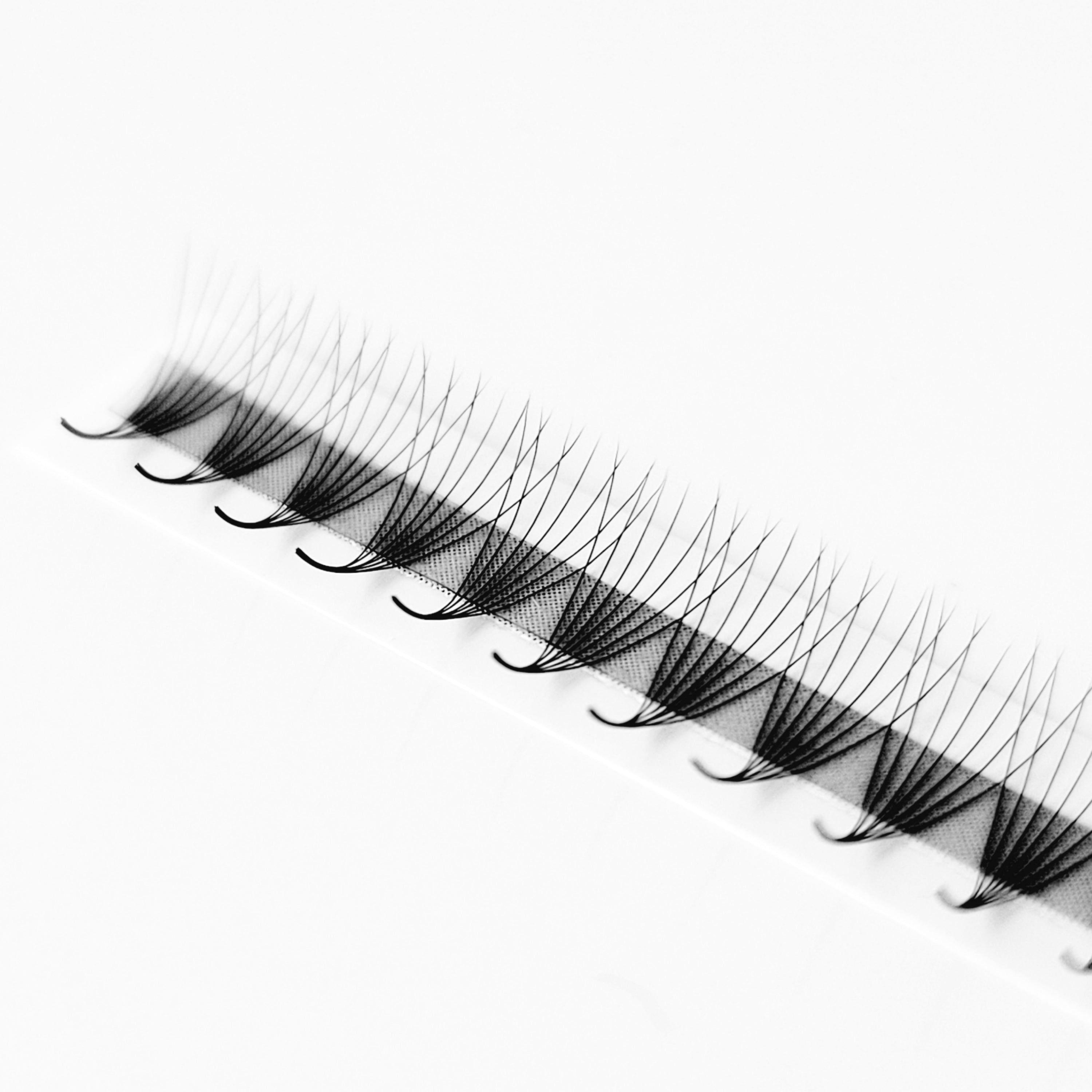7D♡︎0.05 - Narrow Fans - Promade Volumenfächer