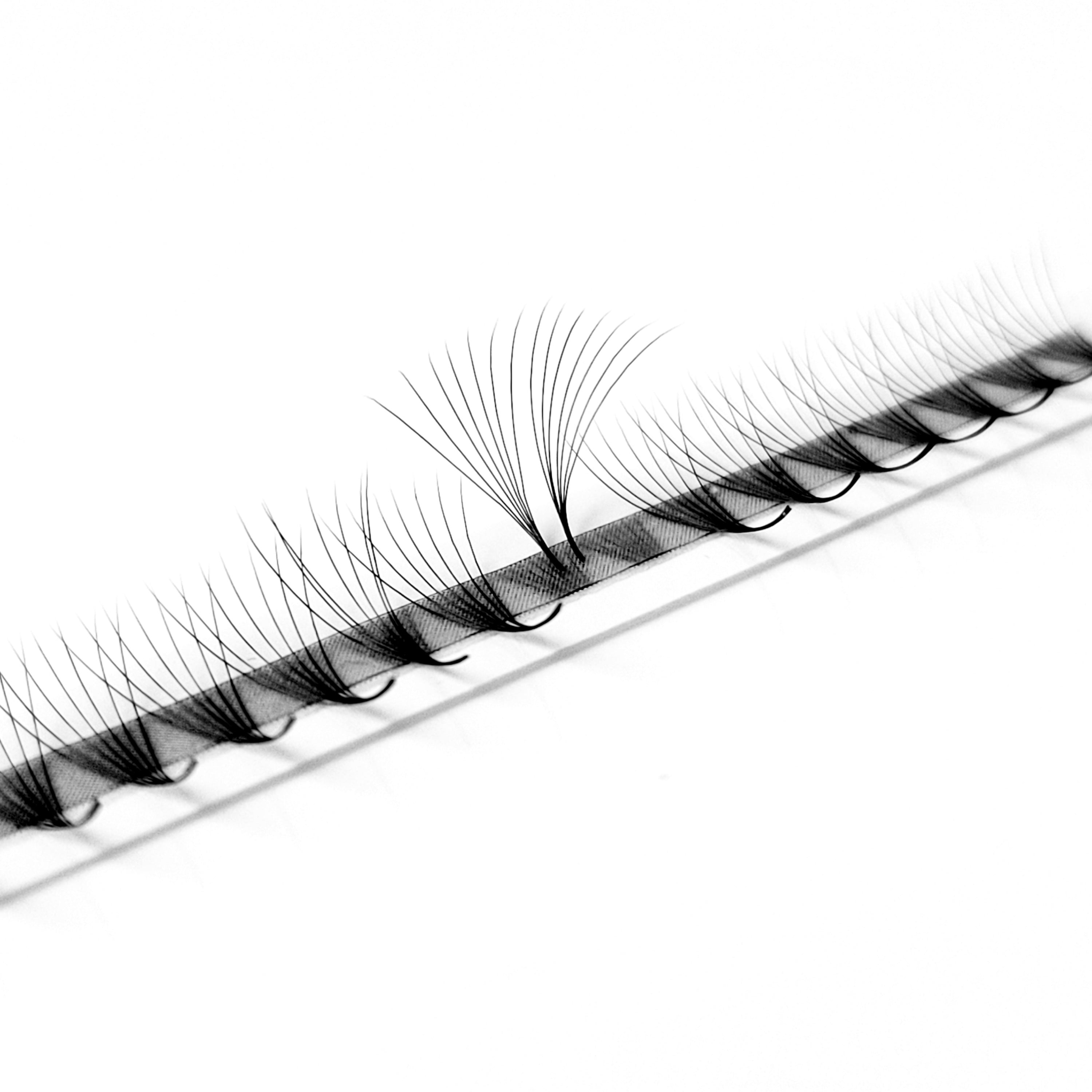 7D♡︎0.05 - Narrow Fans - Promade Volumenfächer