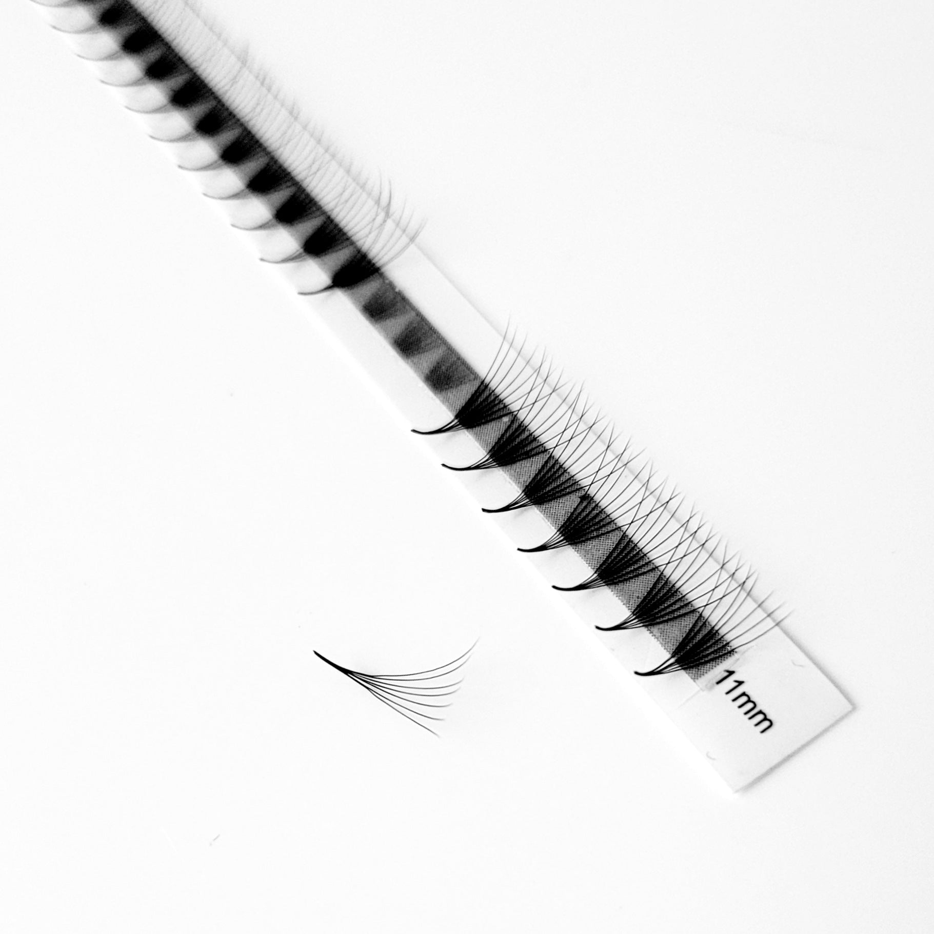 7D♡︎0.05 - Narrow Fans - Promade Volumenfächer