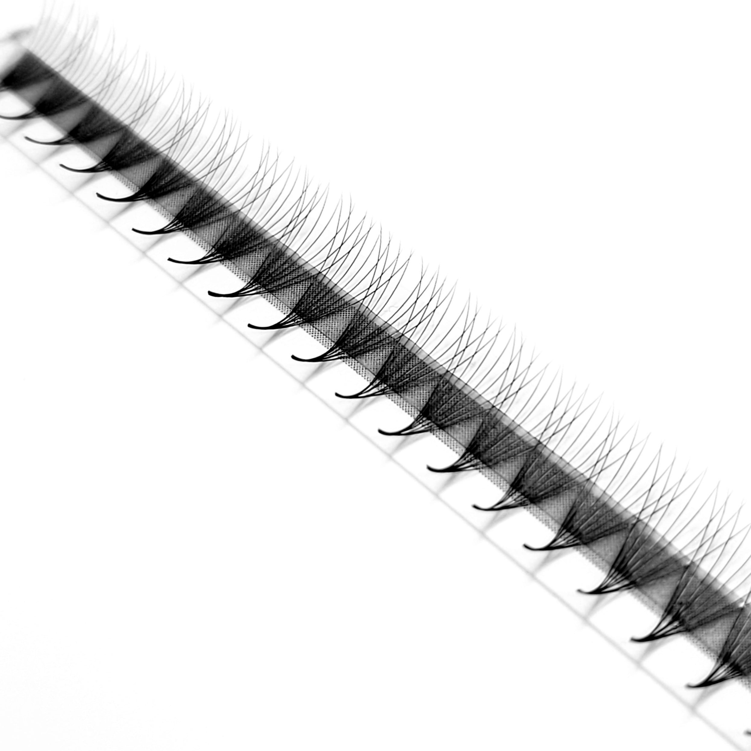 8D♡︎0.05 - Narrow Fans - Promade Volumenfächer