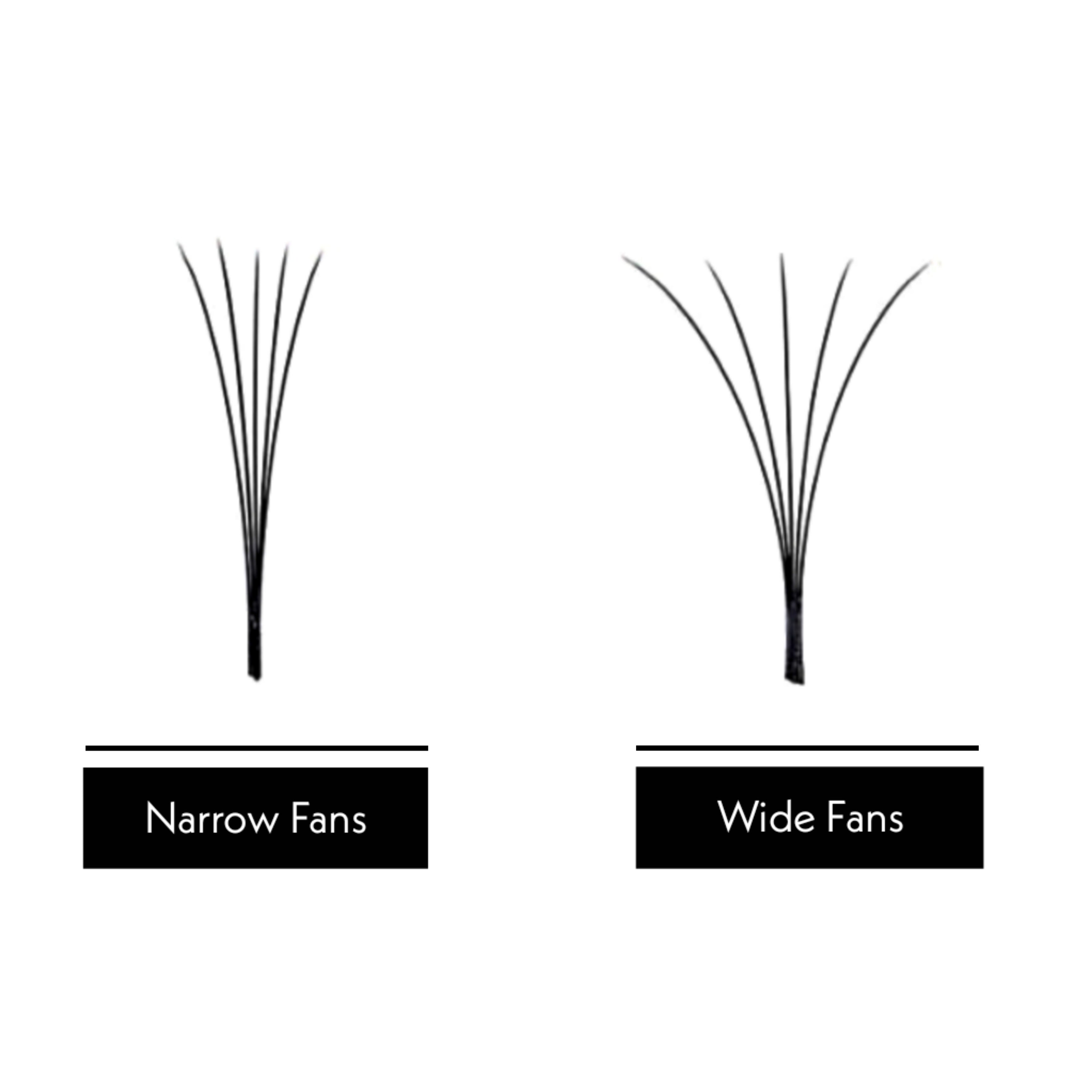 6D♡︎0.07 - Narrow Fans - Promade Volumenfächer