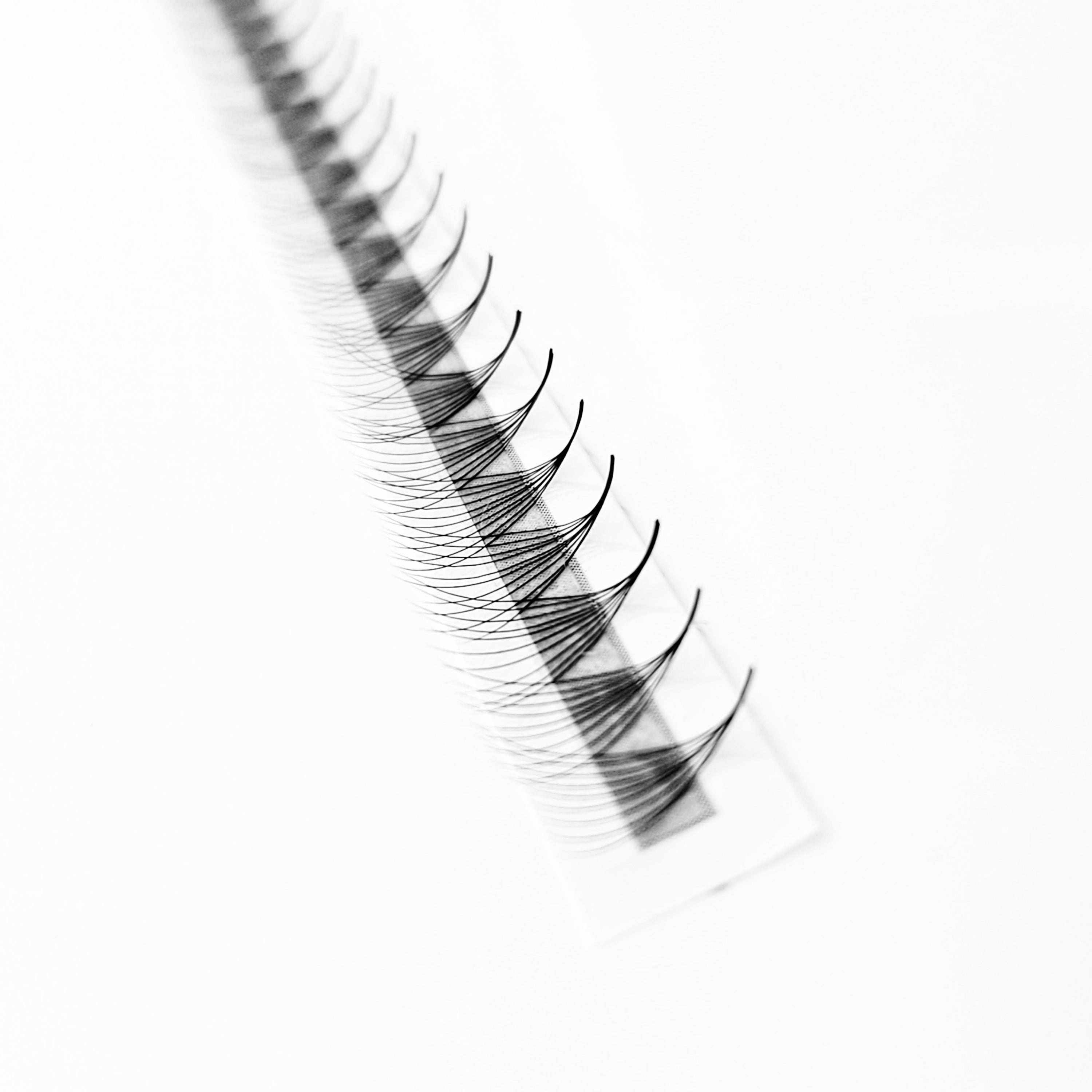 10D♡︎0.03 - Wide Fans - Promade Megavolumen Fächer