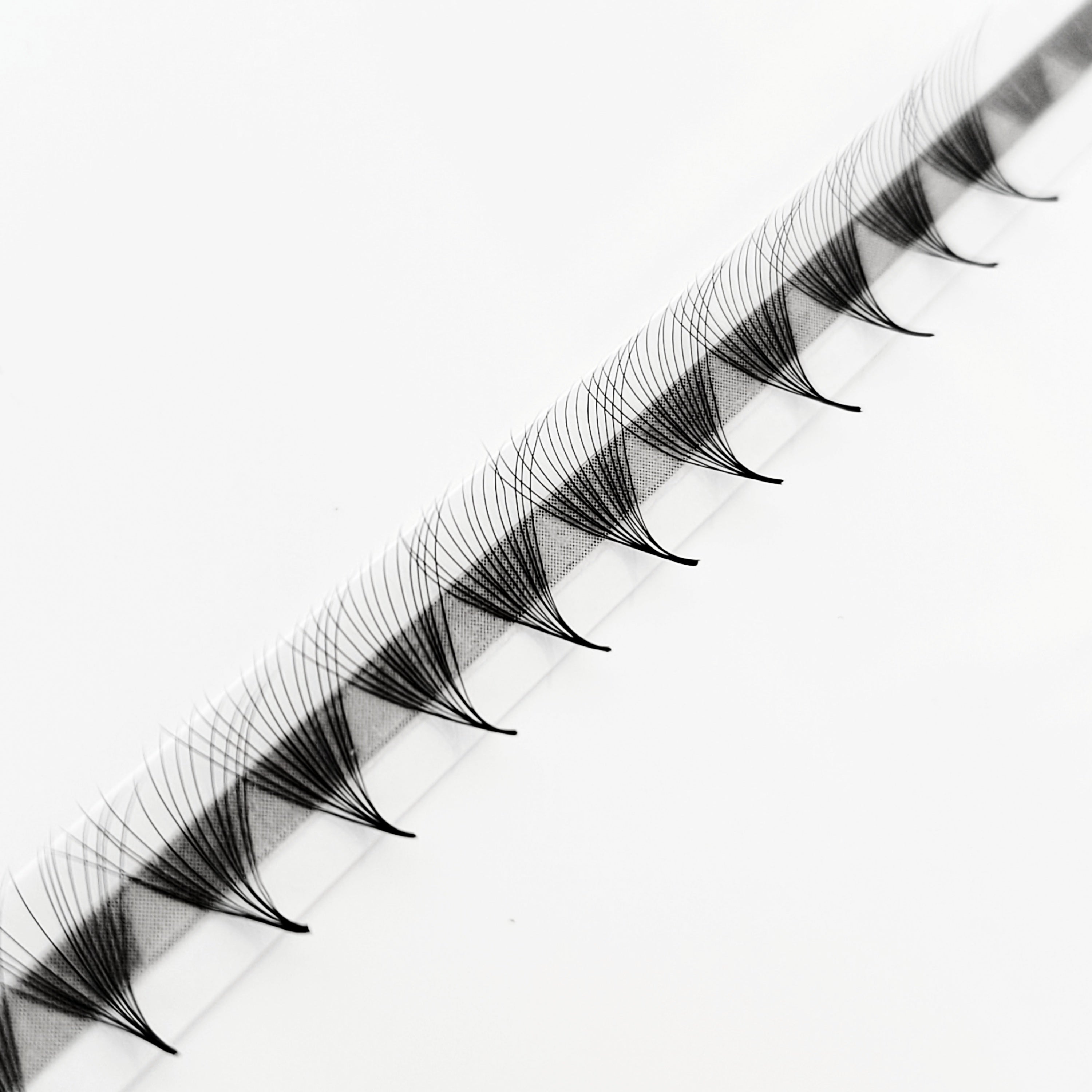 16D♡︎0.03 - Wide Fans - Promade Megavolume Fächer