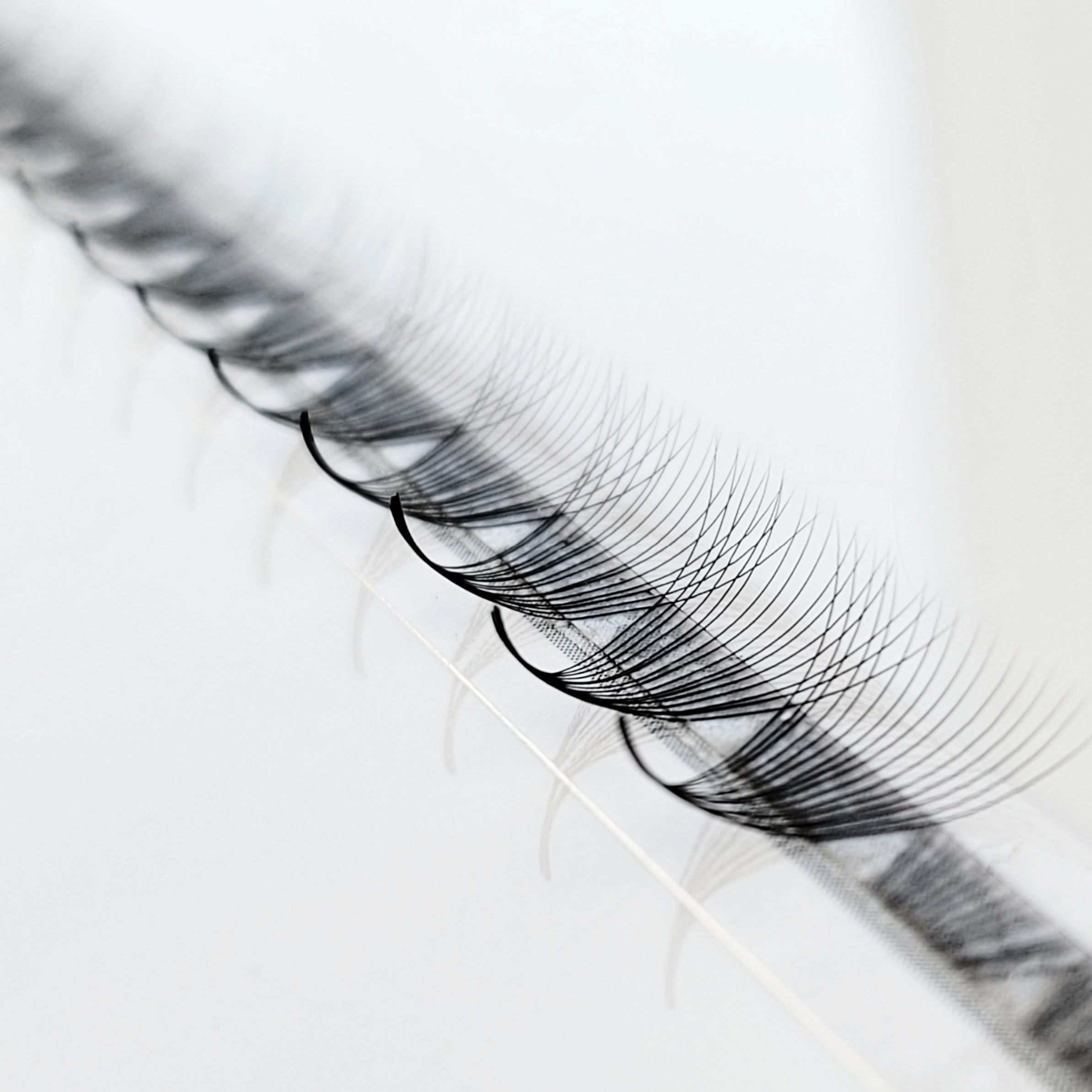 16D♡︎0.03 - Wide Fans - Promade Megavolume Fächer