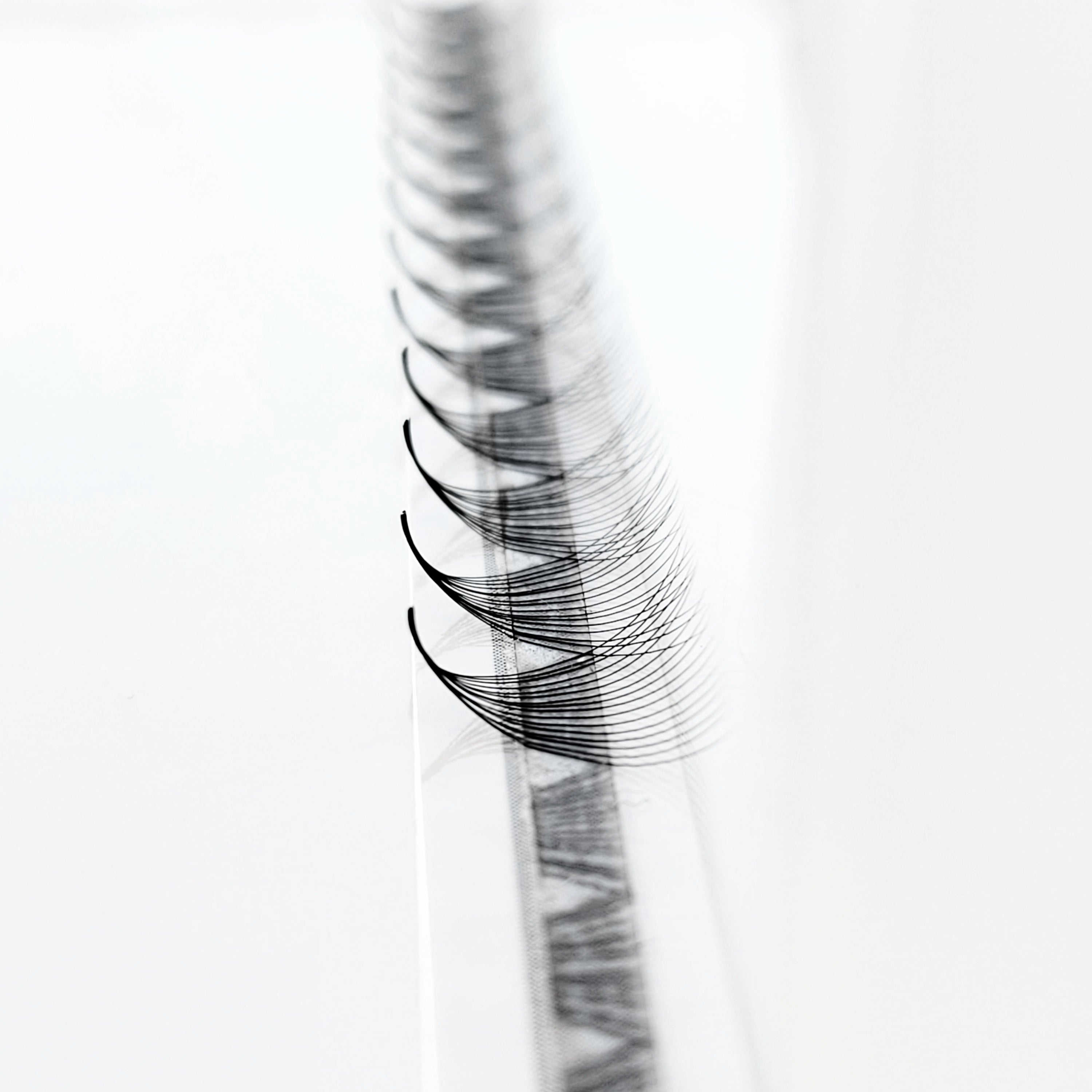 16D♡︎0.03 - Wide Fans - Promade Megavolume Fächer