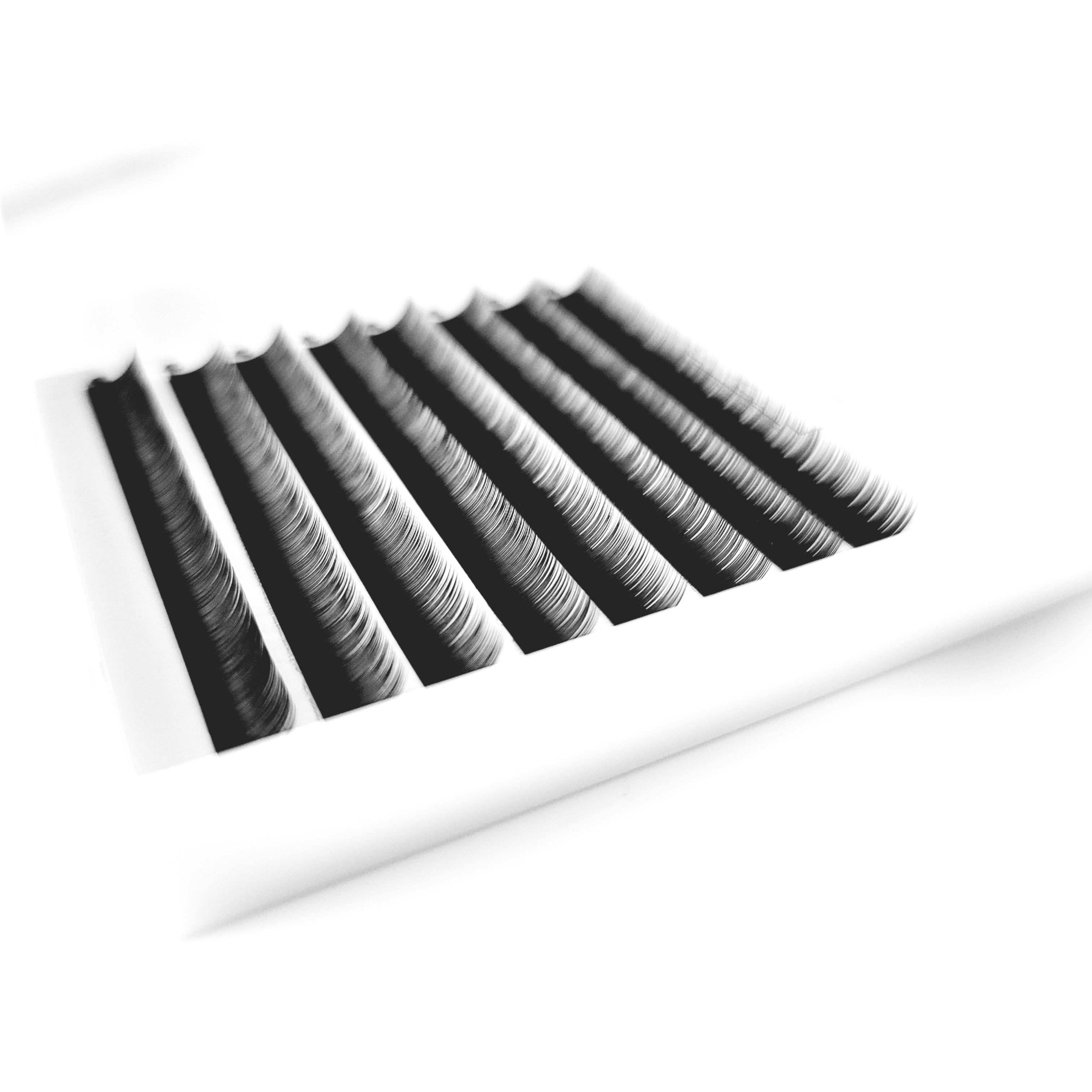 Sous-cils | Curl B | 5mm