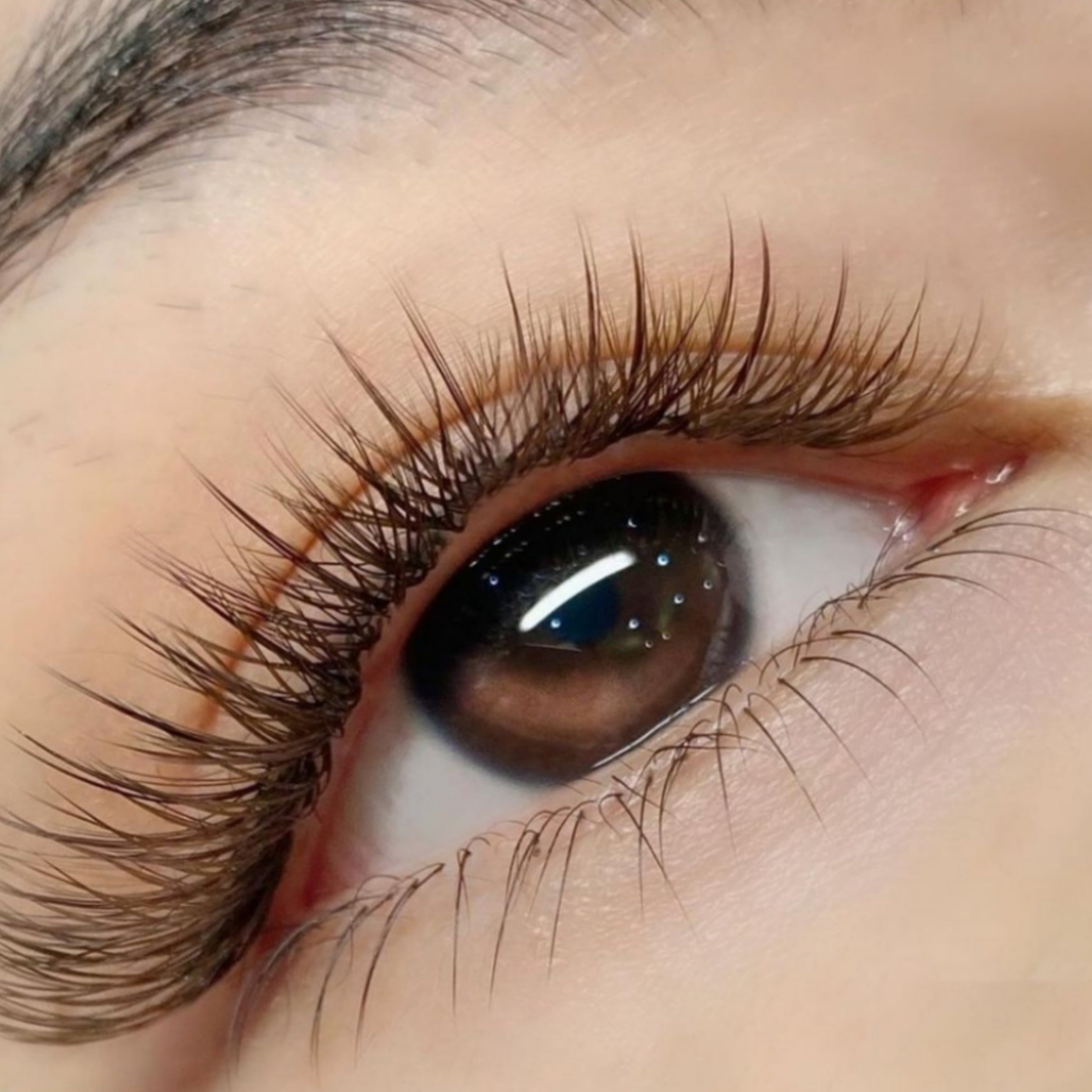 Sous-cils | Curl B | 5mm