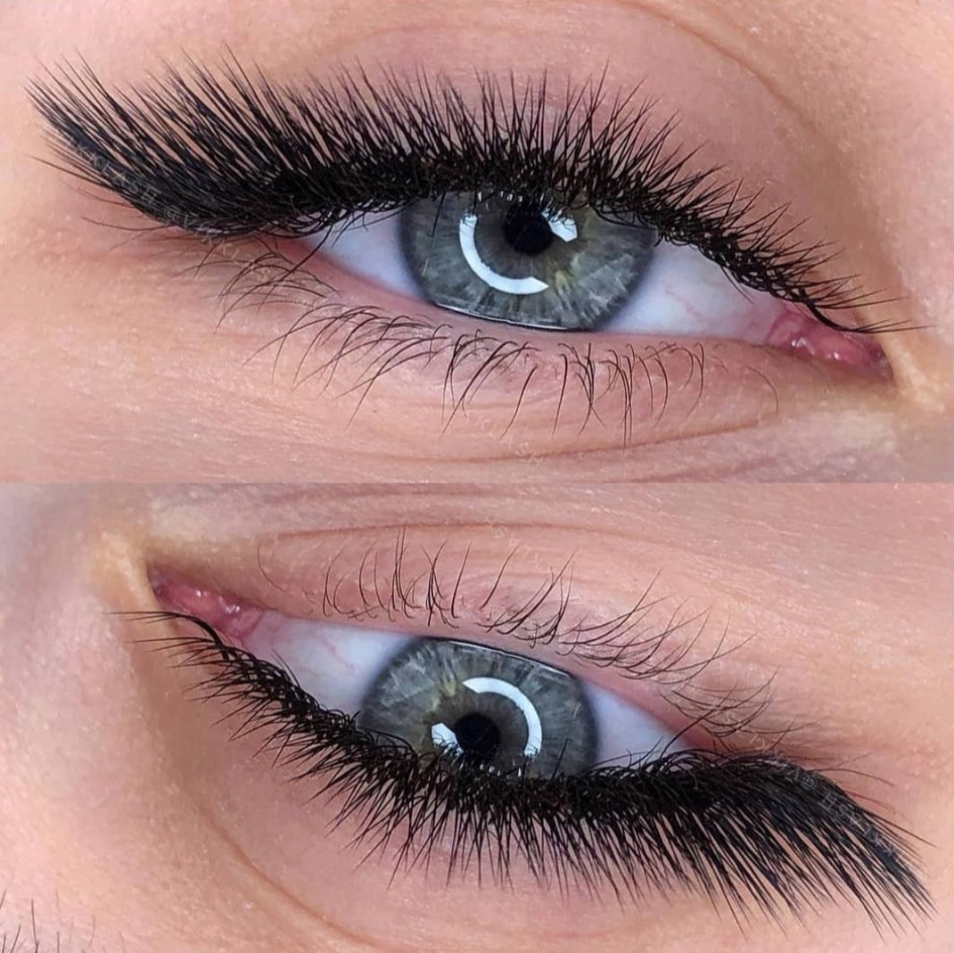 Handmade Wimpernfächer 6D | 0.07 | L