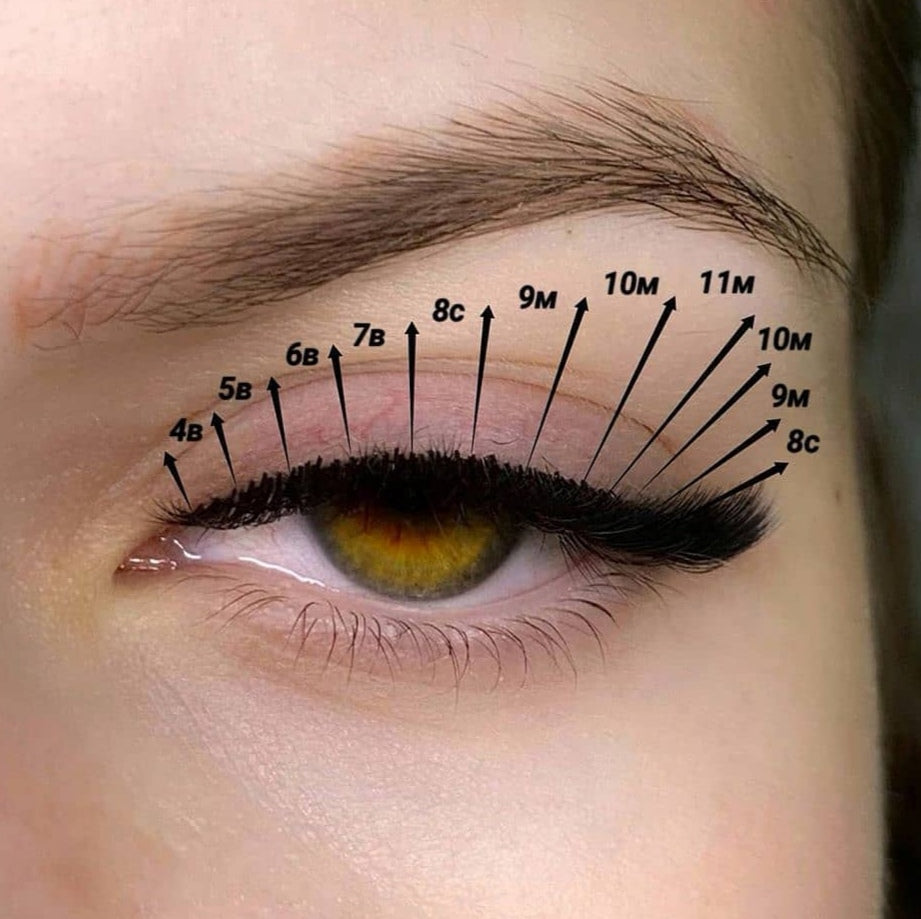 Original Volume Lashes M Curl - 0.07