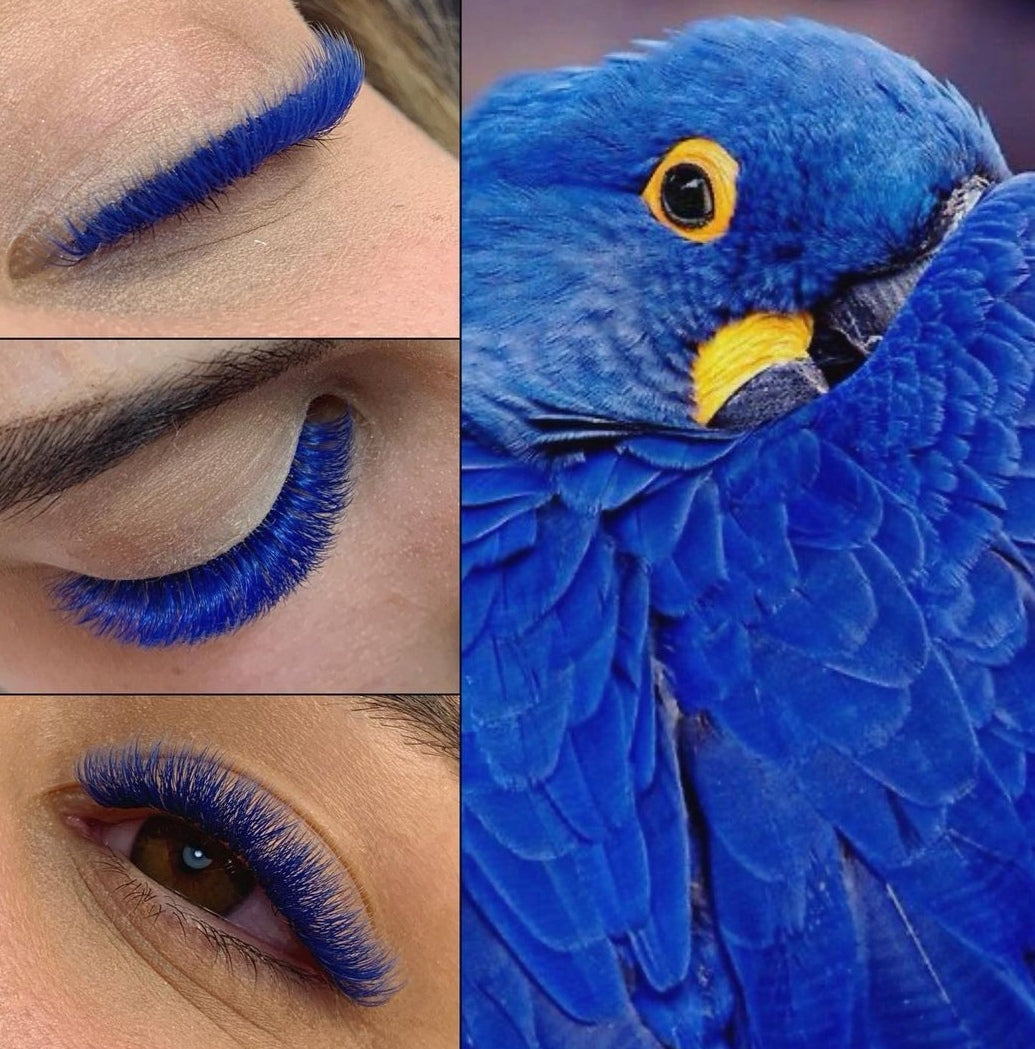 Bleu - Cils Colorés 0.07