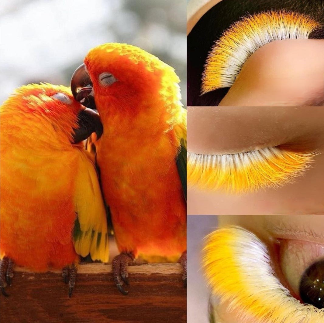 Neon Orange - Farbige Wimpern 0.07