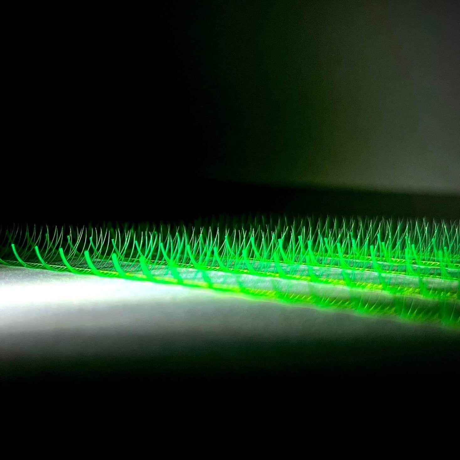 6D | 0.07 Éventails de cils VERT NEON - mix