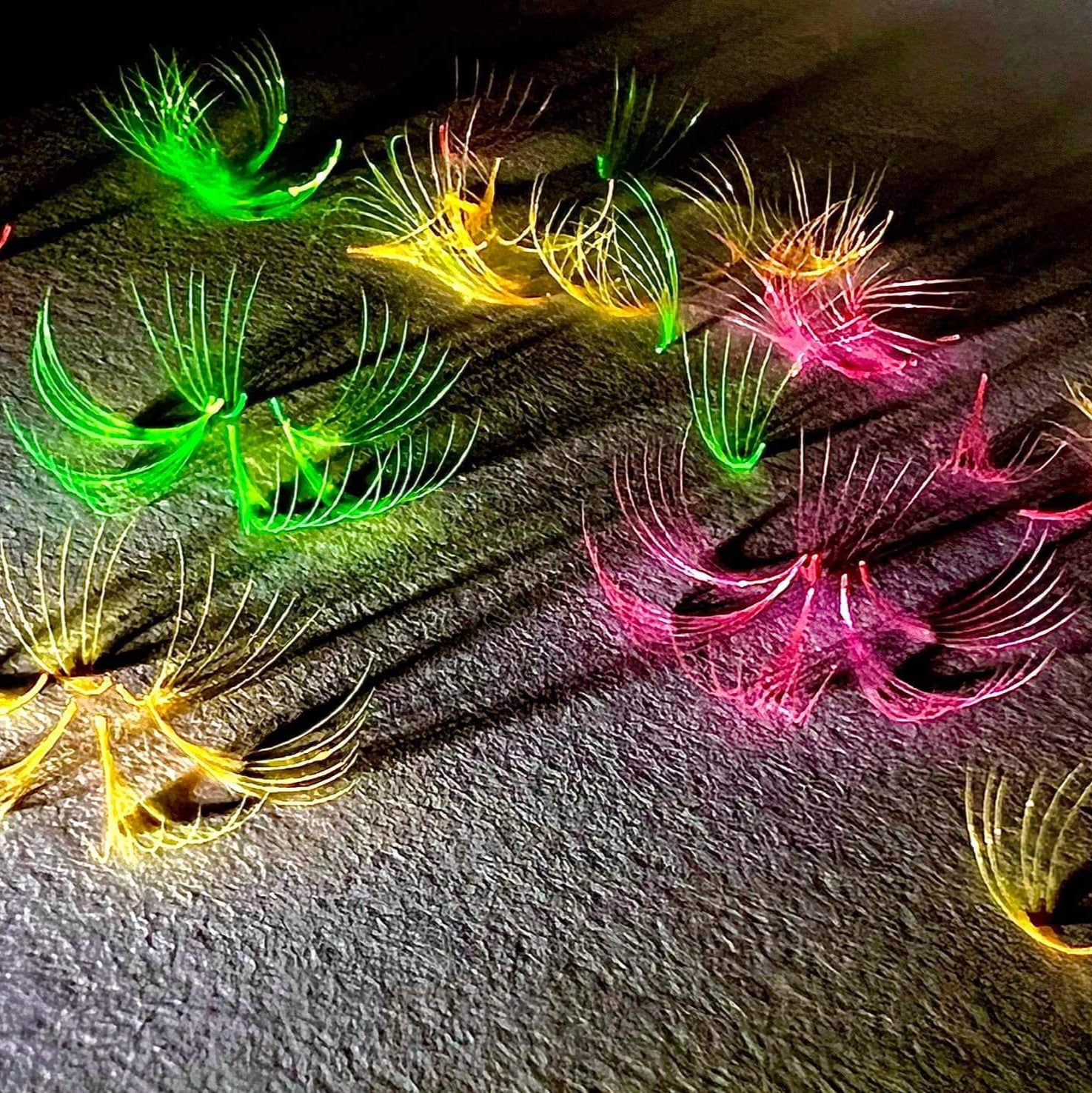 6D | 0.07 NEON PINK Wimpernfächer - Mix